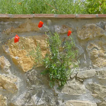 Podere San Martino Vakantiehuis *