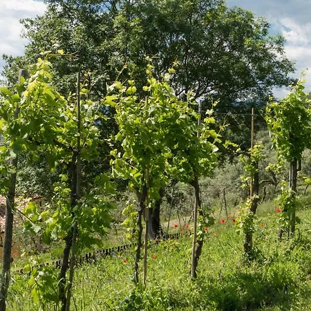 Podere San Martino Vakantiehuis