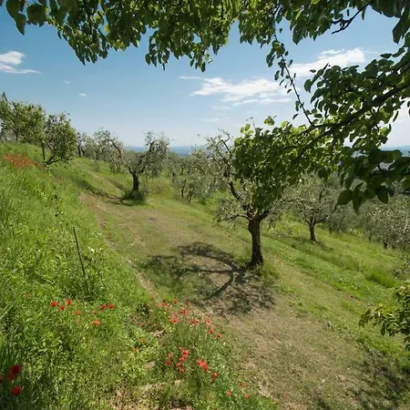 Vakantiehuis Podere San Martino *