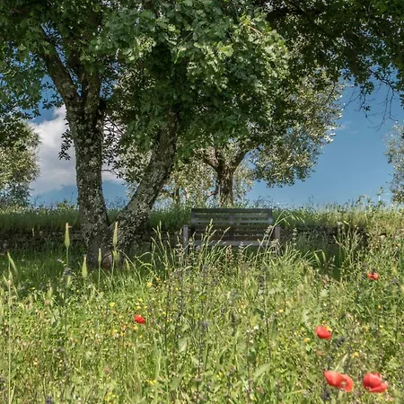 Podere San Martino Vakantiehuis