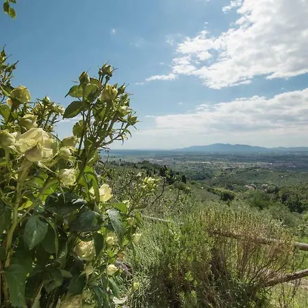 Podere San Martino Vakantiehuis
