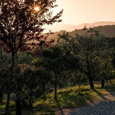 Podere San Martino Vakantiehuis Montevettolini